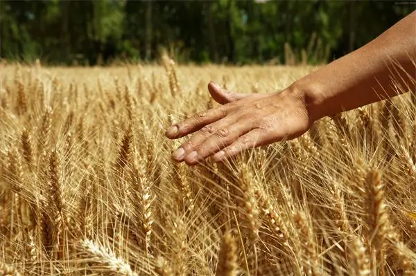 需要技术支持或产品咨询？