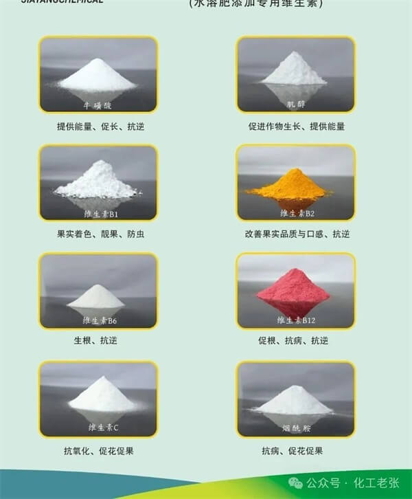 图片1.JPG